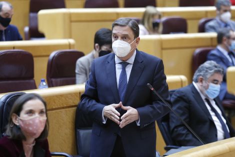 COMPARECENCIA DEL MINISTRO LUIS PLANAS EN EL SENADO 