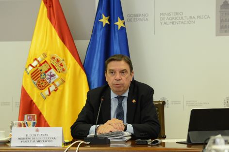 Consejo consultivo de política agrícola para asuntos comunitarios