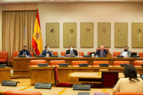 Hoy, en la Comisión de Agricultura del Congreso de los Diputados   