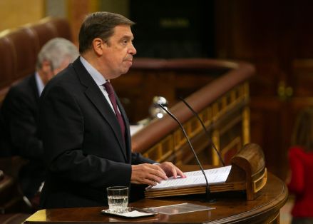 Hoy, en el Pleno del Congreso