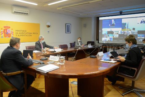 Hoy, durante la videoconferencia de los ministros de Agricultura y Pesca de la Unión Europea
