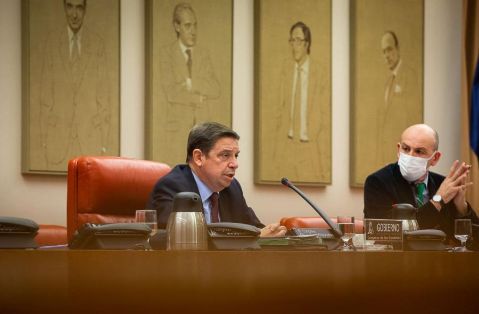 COMISIÓN DE AGRICULTURA, PESCA Y ALIMENTACIÓN EN LA CÁMARA BAJA