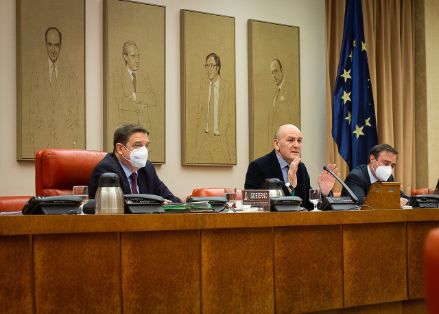 COMISIÓN DE AGRICULTURA, PESCA Y ALIMENTACIÓN EN LA CÁMARA BAJA