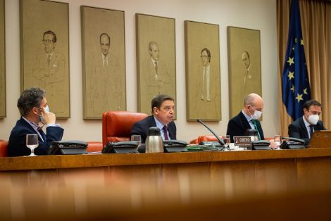 COMISIÓN DE AGRICULTURA, PESCA Y ALIMENTACIÓN EN LA CÁMARA BAJA