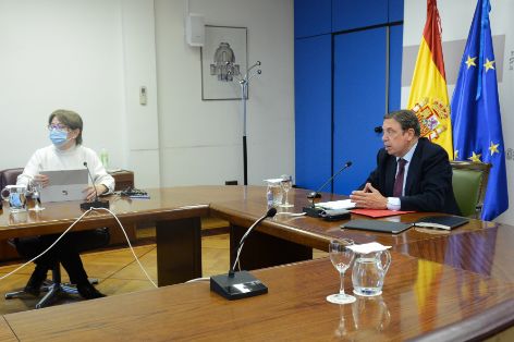HOY, EN UNA REUNIÓN MANTENIDA POR VIDEOCONFERENCIA