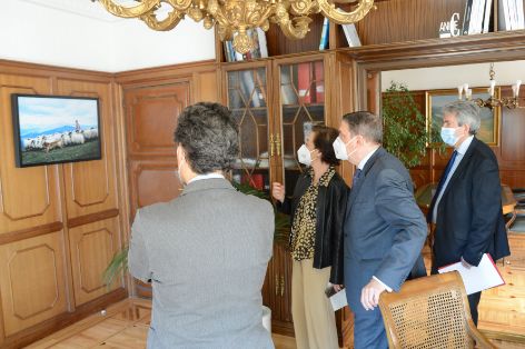 UBICADAS EN LA CALLE ALMAGRO 
