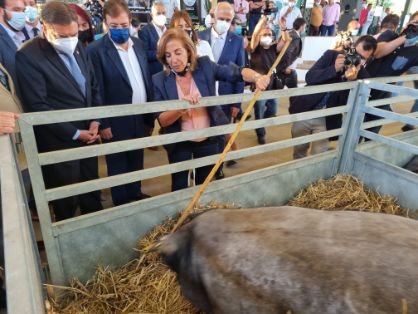 Hoy en la inauguración de la Feria Internacional Ganadera de Zafra 