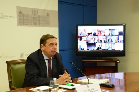HOY, EN CONFERENCIA SECTORIAL CELEBRADA POR VIDEOCONFERENCIA 