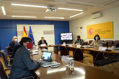 HOY, EN CONFERENCIA SECTORIAL CELEBRADA POR VIDEOCONFERENCIA 