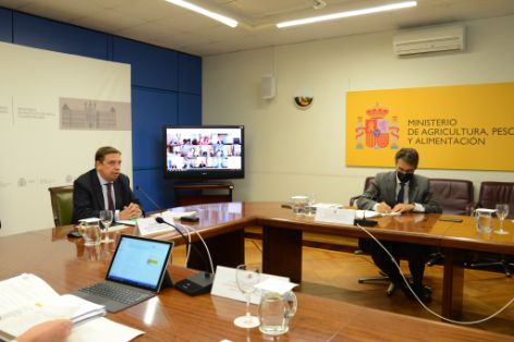 HOY, EN CONFERENCIA SECTORIAL CELEBRADA POR VIDEOCONFERENCIA 