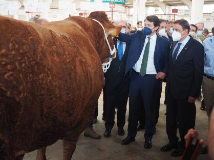 HOY, EN LA INAUGURACIÓN DE SALAMAQ 2021 