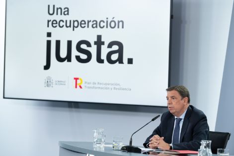 HOY, EN EL CONSEJO DE MINISTROS 