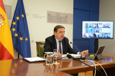 Consejos Consultivos de Política Agrícola y de Política Pesquera  