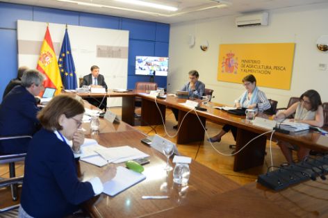 Consejo Consultivo para Asuntos Comunitarios de Política Agrícola 