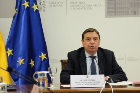 CONSEJO ASESOR DE AICA  