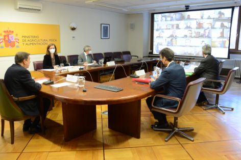 CONSEJO ASESOR DE AICA  