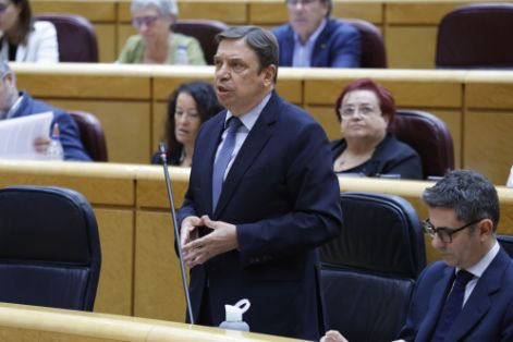 Sesión de control al gobierno en el Senado