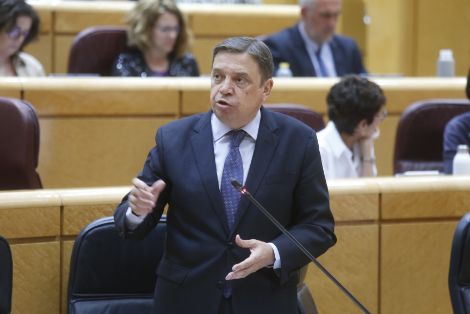 Hoy, en la sesión de control al Gobierno en el Senado