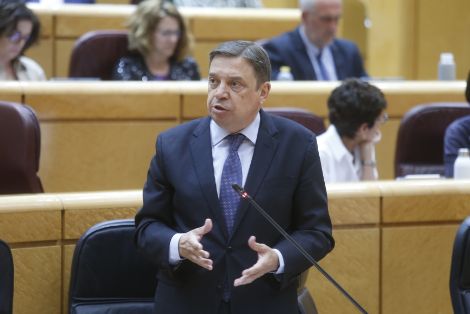 Hoy, en la sesión de control al Gobierno en el Senado