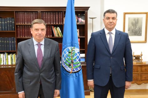 HOY, EN LA SEDE DEL CONSEJO OLEÍCOLA INTERNACIONAL