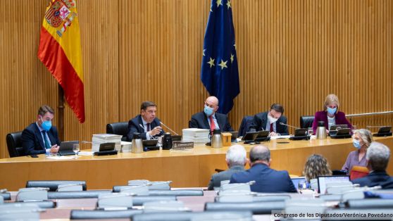 Comparecencia en comisión en el Congreso de los Diputados 