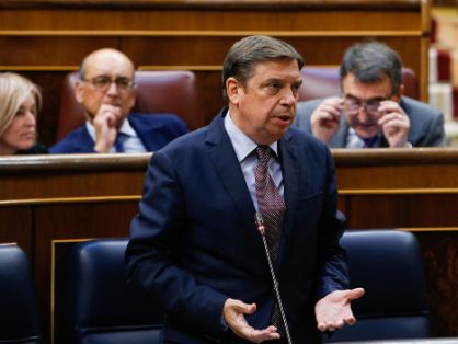 CONGRESO DE LOS DIPUTADOS