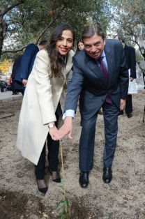 HOY, EN LA SEDE DEL CONSEJO OLEÍCOLA INTERNACIONAL