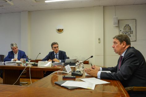 CONSEJO CONSULTIVO DE POLÍTICA AGRÍCOLA PARA ASUNTOS COMUNITARIOS