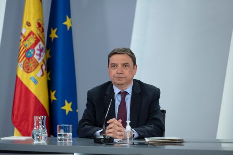 Hoy, en Consejo de Ministros