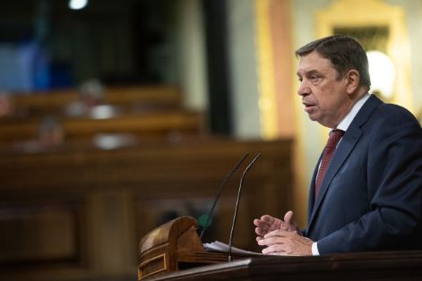 HOY, EN EL CONGRESO DE LOS DIPUTADOS