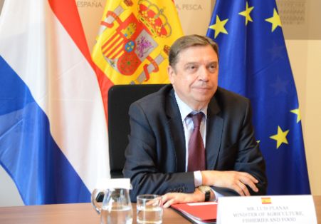 Hoy, por videoconferencia