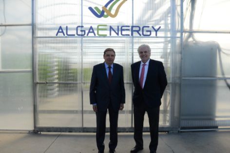Hoy, en una visita a la planta tecnológica de experimentación de microalgas de  Algaenergy