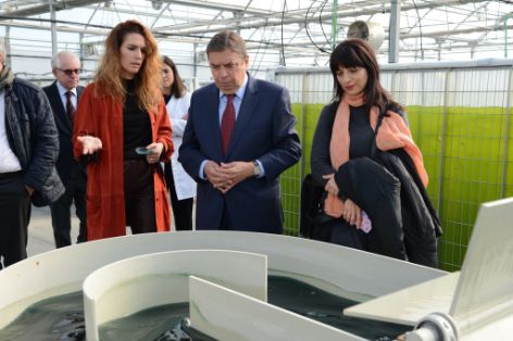 Hoy, en una visita a la planta tecnológica de experimentación de microalgas de  Algaenergy