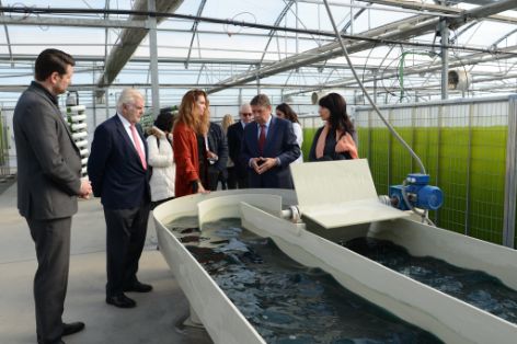 Hoy, en una visita a la planta tecnológica de experimentación de microalgas de  Algaenergy