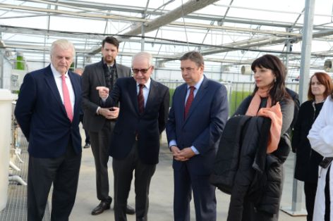 Hoy, en una visita a la planta tecnológica de experimentación de microalgas de  Algaenergy
