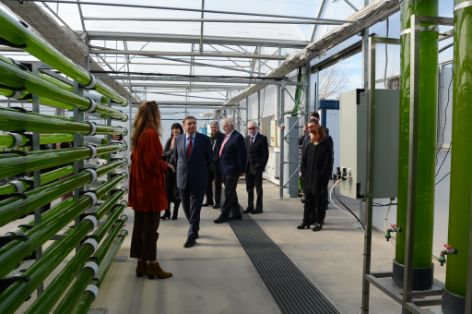 Hoy, en una visita a la planta tecnológica de experimentación de microalgas de  Algaenergy