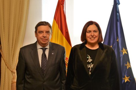 Hoy, en Consejo de Ministros 