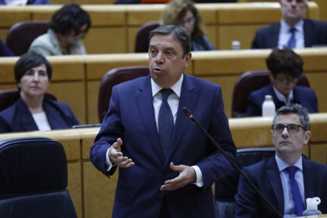 Hoy, en respuesta a una pregunta parlamentaria en el Senado