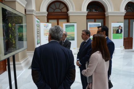 La muestra se puede contemplar, hasta el 24 marzo, en el Lucernario del ministerio  