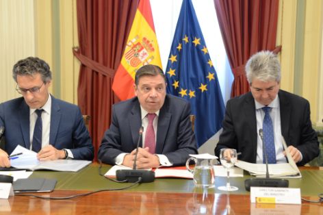 Reunión del Consejo Asesor de la AICA