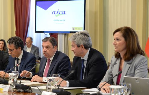 Reunión del Consejo Asesor de la AICA