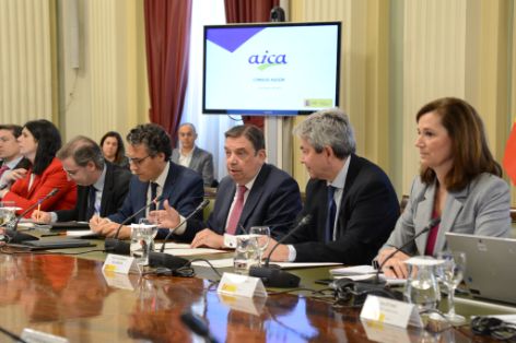 Reunión del Consejo Asesor de la AICA