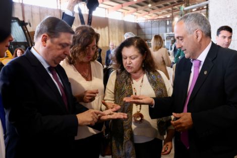 Hoy, en una visita a Mallorca 