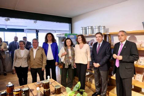 Hoy, en una visita a Mallorca 