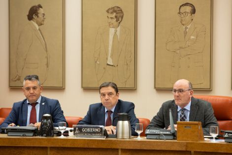 Comparecencia en el Congreso de los Diputados