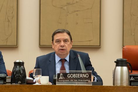 Comparecencia en el Congreso de los Diputados