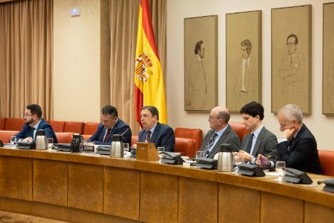 Comparecencia en el Congreso de los Diputados