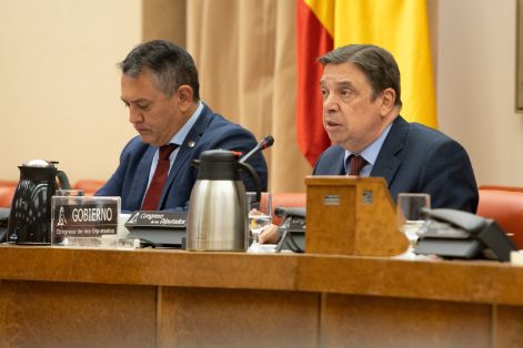 Comparecencia en el Congreso de los Diputados