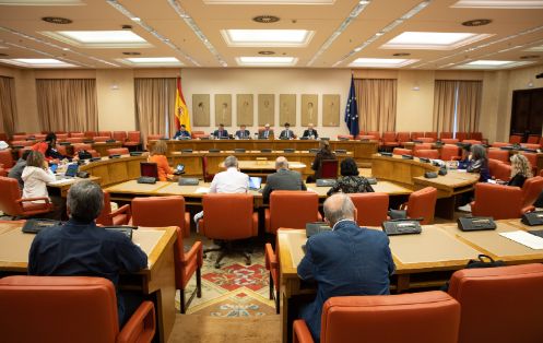 Comparecencia en el Congreso de los Diputados