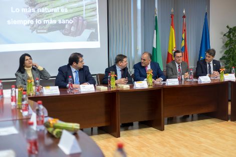 El ministro visita la principal zona productora de espárrago verde de España
